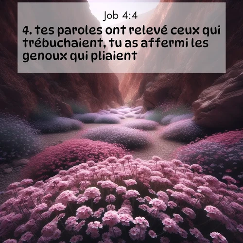 Segond21 Job  ; image nature: image avec le verset biblique :tes paroles ont relevé ceux qui trébuchaient, tu as affermi les genoux qui pliaient, ;  ; 4:4