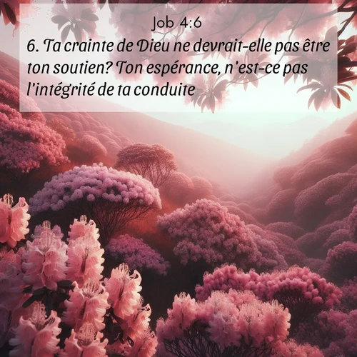 Segond21 Job  ; image nature: image avec le verset biblique :Ta crainte de Dieu ne devrait-elle pas être ton soutien? Ton espérance, n&#039;est-ce pas l&#039;intégrité de ta conduite? ;  ; 4:6