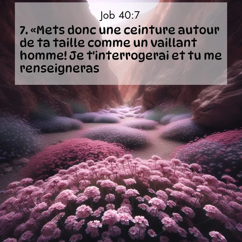 Segond21 Job  ; image nature: image avec le verset biblique :«Mets donc une ceinture autour de ta taille comme un vaillant homme! Je t&#039;interrogerai et tu me renseigneras. ;  ; 40:7