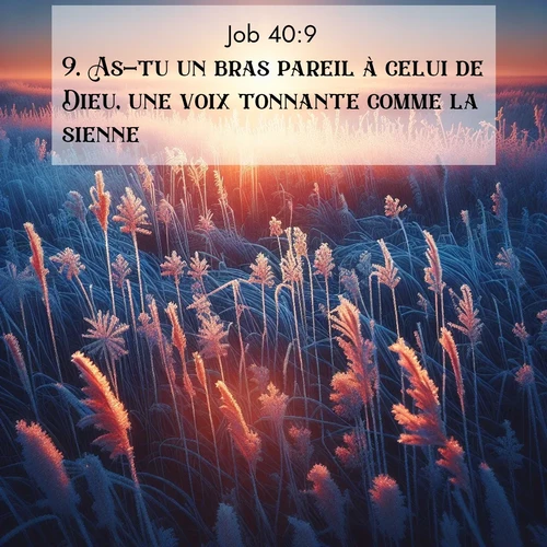Segond21 Job  ; image nature: image avec le verset biblique :As-tu un bras pareil à celui de Dieu, une voix tonnante comme la sienne? ;  ; 40:9