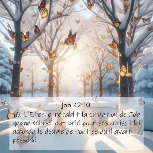 Segond21 Job  ; image nature: image avec le verset biblique :L&#039;Eternel rétablit la situation de Job quand celui-ci eut prié pour ses amis; il lui accorda le double de tout ce qu&#039;il avait possédé. ;  ; 42:10