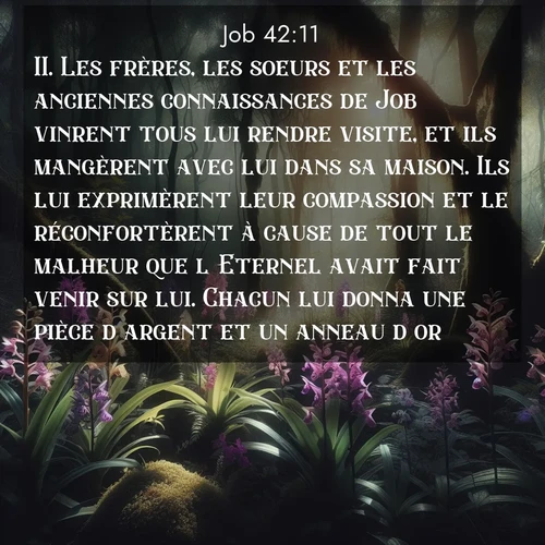 Segond21 Job  ; image nature: image avec le verset biblique :Les frères, les soeurs et les anciennes connaissances de Job vinrent tous lui rendre visite, et ils mangèrent avec lui dans sa maison. Ils lui exprimèrent leur compassion et le réconfortèrent à cause de tout le malheur que l&#039;Eternel avait fait venir sur lui. Chacun lui donna une pièce d&#039;argent et un anneau d&#039;or. ;  ; 42:11