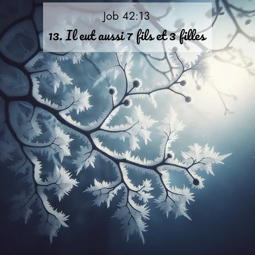 Segond21 Job  ; image nature: image avec le verset biblique :Il eut aussi 7 fils et 3 filles: ;  ; 42:13