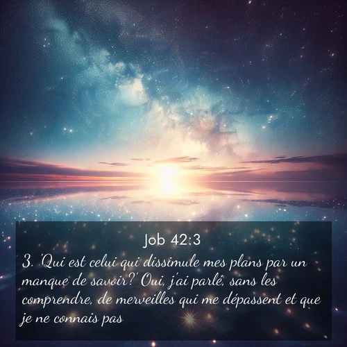 Segond21 Job  ; image nature: image avec le verset biblique :&#039;Qui est celui qui dissimule mes plans par un manque de savoir?&#039; Oui, j&#039;ai parlé, sans les comprendre, de merveilles qui me dépassent et que je ne connais pas. ;  ; 42:3