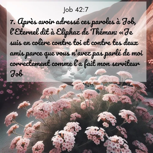 Segond21 Job  ; image nature: image avec le verset biblique :Après avoir adressé ces paroles à Job, l&#039;Eternel dit à Eliphaz de Théman: «Je suis en colère contre toi et contre tes deux amis parce que vous n&#039;avez pas parlé de moi correctement comme l&#039;a fai</p><p>Lire le verset dans son contexte : <br><a href=