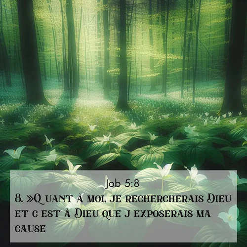Segond21 Job  ; image nature: image avec le verset biblique :»Quant à moi, je rechercherais Dieu et c&#039;est à Dieu que j&#039;exposerais ma cause. ;  ; 5:8