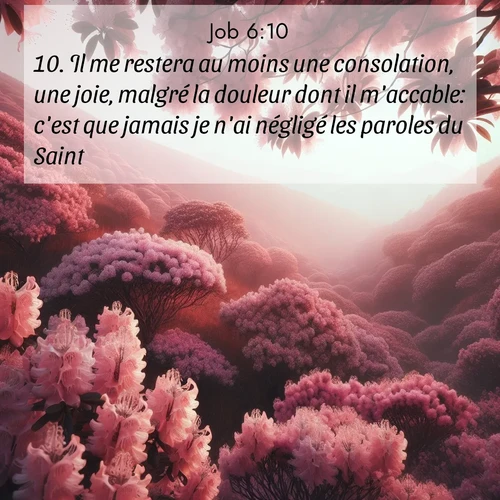 Segond21 Job  ; image nature: image avec le verset biblique :Il me restera au moins une consolation, une joie, malgré la douleur dont il m&#039;accable: c&#039;est que jamais je n&#039;ai négligé les paroles du Saint. ;  ; 6:10