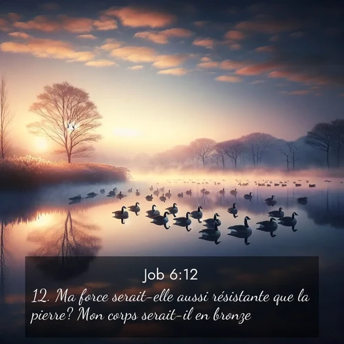Segond21 Job  ; image nature: image avec le verset biblique :Ma force serait-elle aussi résistante que la pierre? Mon corps serait-il en bronze? ;  ; 6:12
