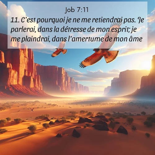 Segond21 Job  ; image nature: image avec le verset biblique :C&#039;est pourquoi je ne me retiendrai pas. Je parlerai, dans la détresse de mon esprit; je me plaindrai, dans l&#039;amertume de mon âme. ;  ; 7:11