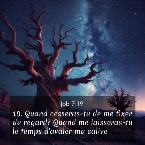 Segond21 Job  ; image nature: image avec le verset biblique :Quand cesseras-tu de me fixer du regard? Quand me laisseras-tu le temps d&#039;avaler ma salive? ;  ; 7:19