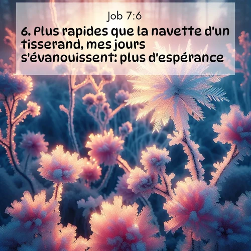 Segond21 Job  ; image nature: image avec le verset biblique :Plus rapides que la navette d&#039;un tisserand, mes jours s&#039;évanouissent: plus d&#039;espérance! ;  ; 7:6