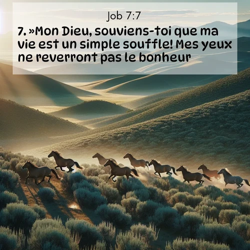 Segond21 Job  ; image nature: image avec le verset biblique :»Mon Dieu, souviens-toi que ma vie est un simple souffle! Mes yeux ne reverront pas le bonheur. ;  ; 7:7