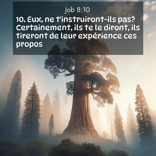 Segond21 Job  ; image nature: image avec le verset biblique :Eux, ne t&#039;instruiront-ils pas? Certainement, ils te le diront, ils tireront de leur expérience ces propos: ;  ; 8:10
