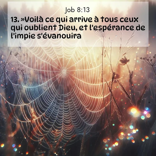 Segond21 Job  ; image nature: image avec le verset biblique :»Voilà ce qui arrive à tous ceux qui oublient Dieu, et l&#039;espérance de l&#039;impie s&#039;évanouira. ;  ; 8:13