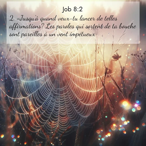 Segond21 Job  ; image nature: image avec le verset biblique :«Jusqu&#039;à quand veux-tu lancer de telles affirmations? Les paroles qui sortent de ta bouche sont pareilles à un vent impétueux. ;  ; 8:2