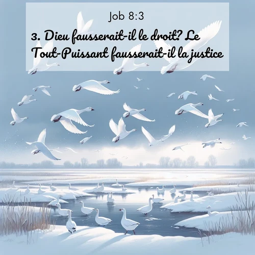 Segond21 Job  ; image nature: image avec le verset biblique :Dieu fausserait-il le droit? Le Tout-Puissant fausserait-il la justice? ;  ; 8:3