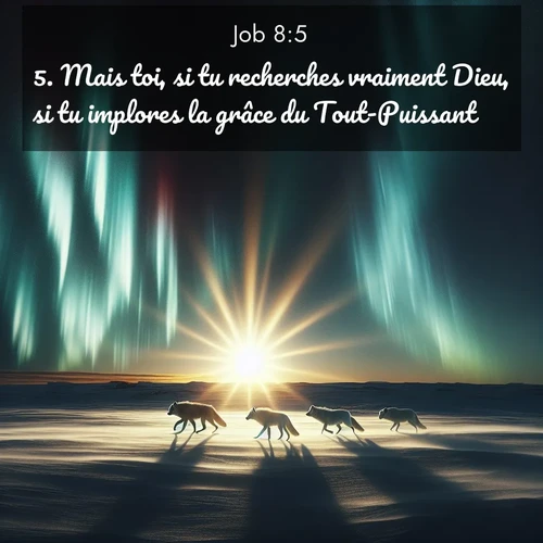 Segond21 Job  ; image nature: image avec le verset biblique :Mais toi, si tu recherches vraiment Dieu, si tu implores la grâce du Tout-Puissant, ;  ; 8:5