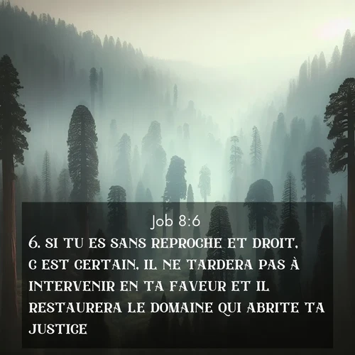 Segond21 Job  ; image nature: image avec le verset biblique :si tu es sans reproche et droit, c&#039;est certain, il ne tardera pas à intervenir en ta faveur et il restaurera le domaine qui abrite ta justice. ;  ; 8:6