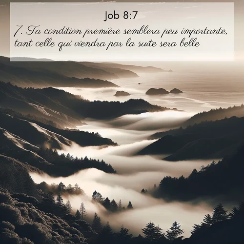 Segond21 Job  ; image nature: image avec le verset biblique :Ta condition première semblera peu importante, tant celle qui viendra par la suite sera belle. ;  ; 8:7