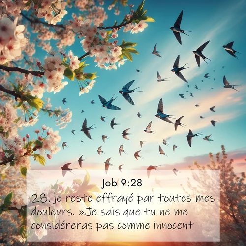 image nature avec verset biblique de la Bible
