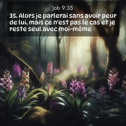 Segond21 Job  ; image nature: image avec le verset biblique :Alors je parlerai sans avoir peur de lui, mais ce n&#039;est pas le cas et je reste seul avec moi-même. ;  ; 9:35