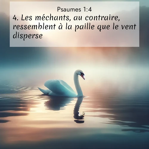 Segond21 Psaumes  ; image nature: image avec le verset biblique :Les méchants, au contraire, ressemblent à la paille que le vent disperse. ;  ; 1:4