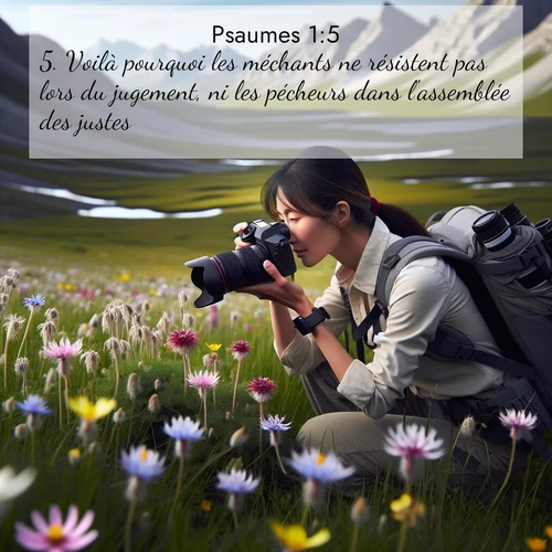 Segond21 Psaumes  ; image nature: image avec le verset biblique :Voilà pourquoi les méchants ne résistent pas lors du jugement, ni les pécheurs dans l&#039;assemblée des justes. ;  ; 1:5