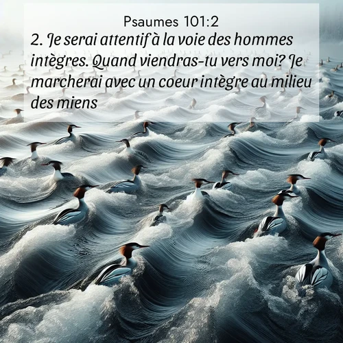 Segond21 Psaumes  ; image nature: image avec le verset biblique :Je serai attentif à la voie des hommes intègres. Quand viendras-tu vers moi? Je marcherai avec un coeur intègre au milieu des miens. ;  ; 101:2