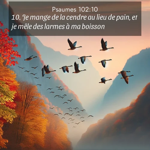 image nature avec verset biblique de la Bible