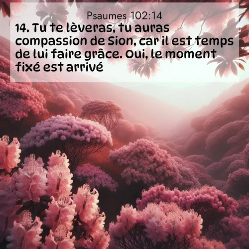 image nature avec verset biblique de la Bible