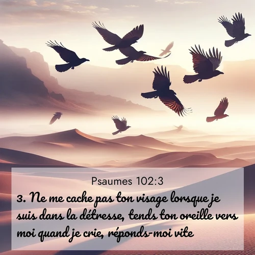 image nature avec verset biblique de la Bible