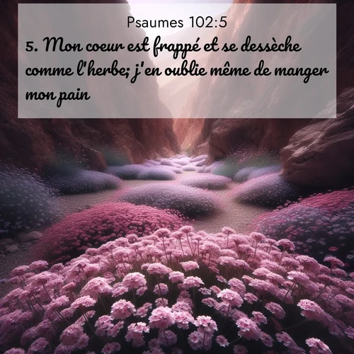 image nature avec verset biblique de la Bible