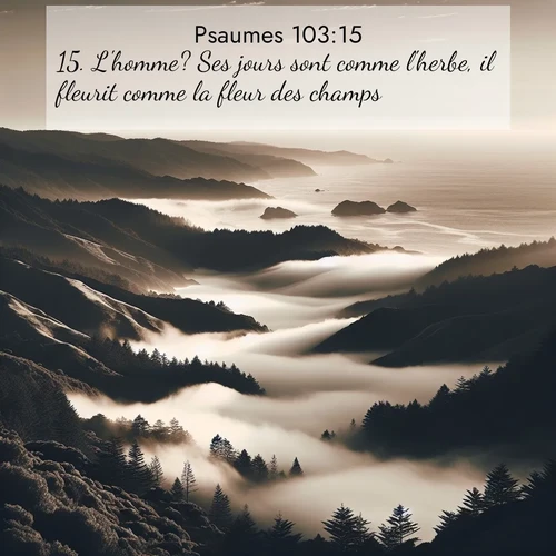 Segond21 Psaumes  ; image nature: image avec le verset biblique :L&#039;homme? Ses jours sont comme l&#039;herbe, il fleurit comme la fleur des champs: ;  ; 103:15