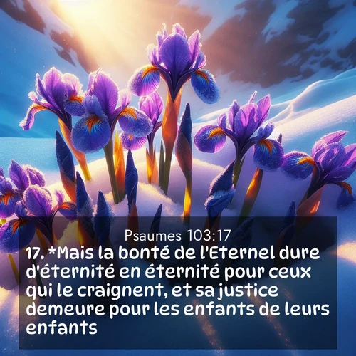 Segond21 Psaumes  ; image nature: image avec le verset biblique :*Mais la bonté de l&#039;Eternel dure d&#039;éternité en éternité pour ceux qui le craignent, et sa justice demeure pour les enfants de leurs enfants, ;  ; 103:17