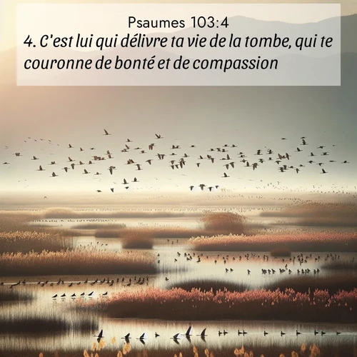 Segond21 Psaumes  ; image nature: image avec le verset biblique :C&#039;est lui qui délivre ta vie de la tombe, qui te couronne de bonté et de compassion. ;  ; 103:4