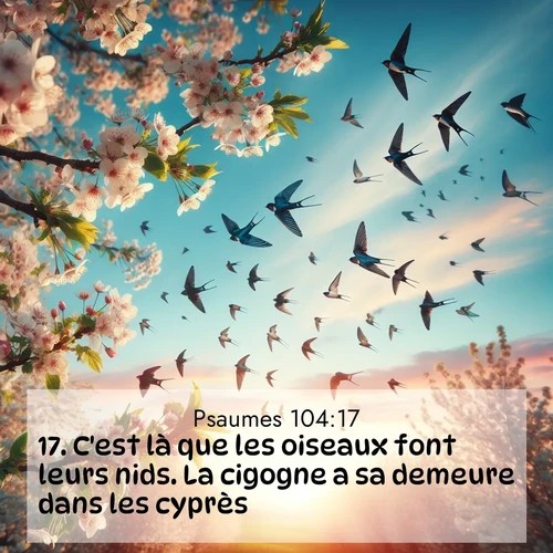 Segond21 Psaumes  ; image nature: image avec le verset biblique :C&#039;est là que les oiseaux font leurs nids. La cigogne a sa demeure dans les cyprès, ;  ; 104:17
