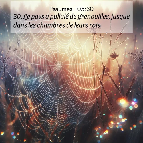 Segond21 Psaumes  ; image nature: image avec le verset biblique :Le pays a pullulé de grenouilles, jusque dans les chambres de leurs rois. ;  ; 105:30