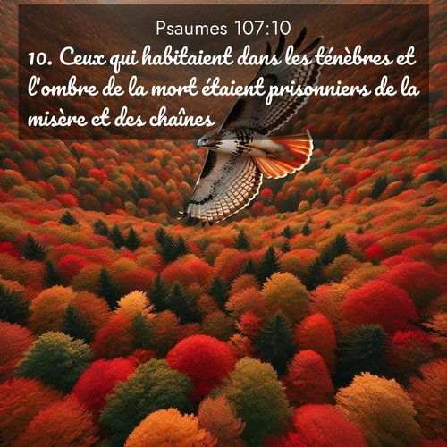 image nature avec verset biblique de la Bible
