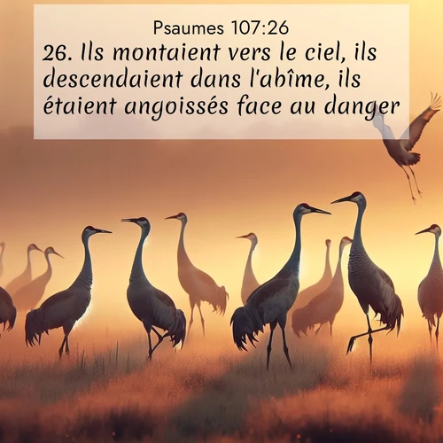 image nature avec verset biblique de la Bible