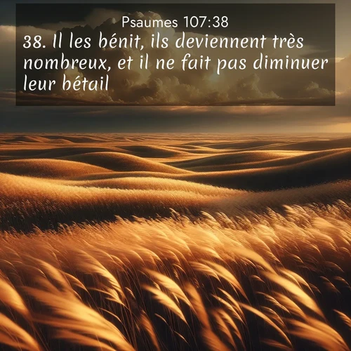 image nature avec verset biblique de la Bible