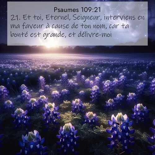 Segond21 Psaumes  ; image nature: image avec le verset biblique :Et toi, Eternel, Seigneur, interviens en ma faveur à cause de ton nom, car ta bonté est grande, et délivre-moi! ;  ; 109:21