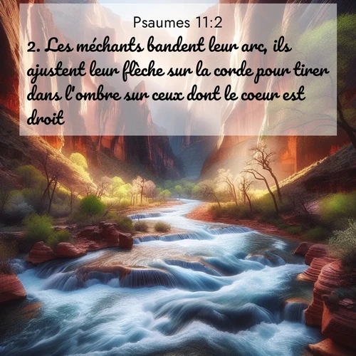 Segond21 Psaumes  ; image nature: image avec le verset biblique :Les méchants bandent leur arc, ils ajustent leur flèche sur la corde pour tirer dans l&#039;ombre sur ceux dont le coeur est droit. ;  ; 11:2