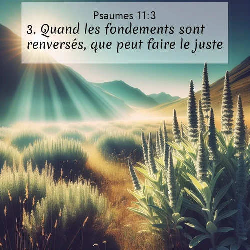 Segond21 Psaumes  ; image nature: image avec le verset biblique :Quand les fondements sont renversés, que peut faire le juste? ;  ; 11:3