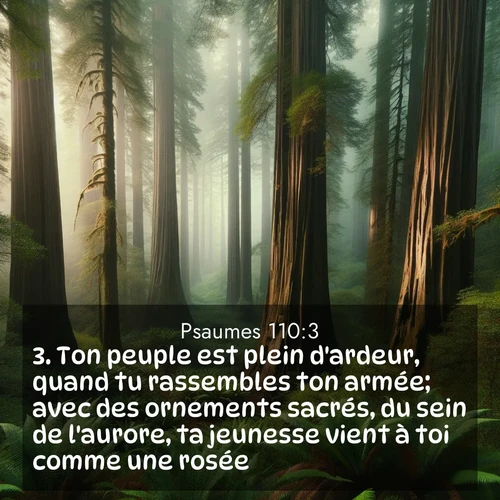 Segond21 Psaumes  ; image nature: image avec le verset biblique :Ton peuple est plein d&#039;ardeur, quand tu rassembles ton armée; avec des ornements sacrés, du sein de l&#039;aurore, ta jeunesse vient à toi comme une rosée. ;  ; 110:3