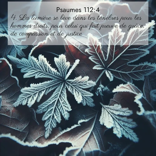 Segond21 Psaumes  ; image nature: image avec le verset biblique :La lumière se lève dans les ténèbres pour les hommes droits, pour celui qui fait preuve de grâce, de compassion et de justice. ;  ; 112:4