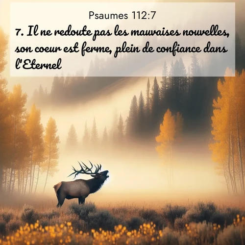 Segond21 Psaumes  ; image nature: image avec le verset biblique :Il ne redoute pas les mauvaises nouvelles, son coeur est ferme, plein de confiance dans l&#039;Eternel. ;  ; 112:7