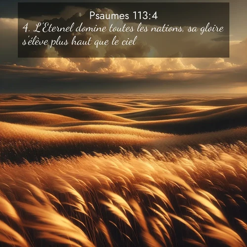 Segond21 Psaumes  ; image nature: image avec le verset biblique :L&#039;Eternel domine toutes les nations, sa gloire s&#039;élève plus haut que le ciel. ;  ; 113:4
