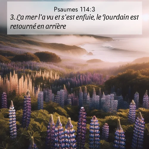 Segond21 Psaumes  ; image nature: image avec le verset biblique :La mer l&#039;a vu et s&#039;est enfuie, le Jourdain est retourné en arrière; ;  ; 114:3