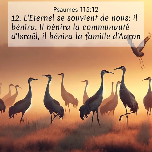 Segond21 Psaumes  ; image nature: image avec le verset biblique :L&#039;Eternel se souvient de nous: il bénira. Il bénira la communauté d&#039;Israël, il bénira la famille d&#039;Aaron, ;  ; 115:12