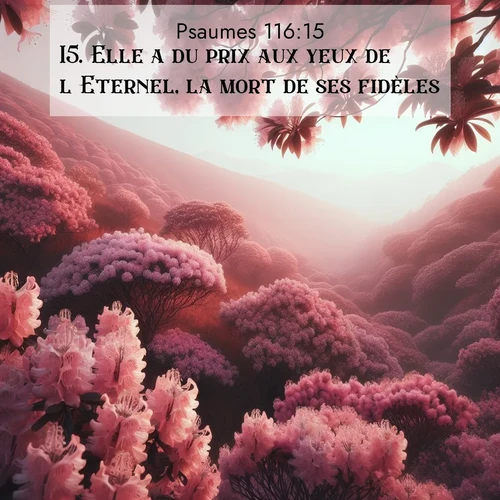 Segond21 Psaumes  ; image nature: image avec le verset biblique :Elle a du prix aux yeux de l&#039;Eternel, la mort de ses fidèles. ;  ; 116:15